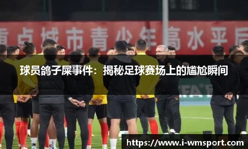 完美体育平台